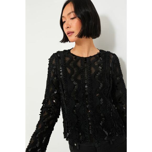 HYACINTH HOUSE NWT Tuckernuck Black Sheer Sequin Long Sleeve Sutton Blouse Sz Lg - Picture 1 of 13